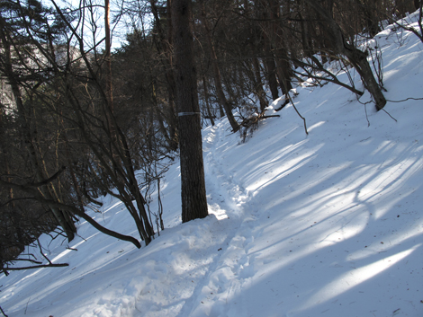 20180209hike (49)